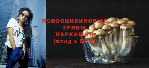 ECSTASY Абаза