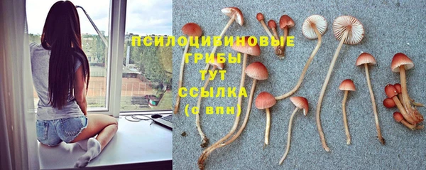 гашик Абинск