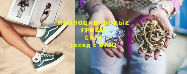 ECSTASY Абаза
