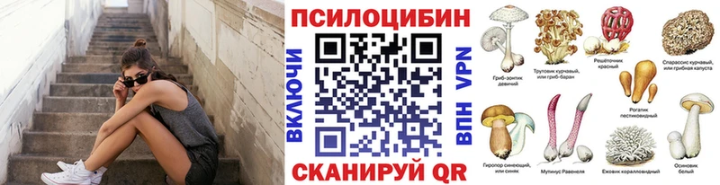 цены наркотик  Шимановск  Псилоцибиновые грибы MAGIC MUSHROOMS 